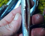 Foto del paso 6 de la receta: Boquerones marinados en sal granulada picante