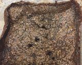 自製綿密巧克力布朗尼的食譜步驟4照片