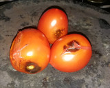 Foto del paso 4 de la receta: Salsa de Chapulines