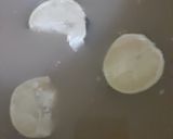 صورة لخطوة 1 من وصفة مربي العنب