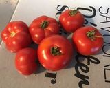 Une image de l'étape 1 de Salade de tomates et concombre au lonzo,cornichons et petits oignons.