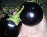 A picture of step 1 of #5ingridients Baigan ka burtaa.