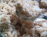 Foto langkah ke 3 dari resep Nasi Oyek.