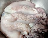 Foto del paso 1 de la receta: 🦑Pulpo a la plancha