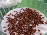 Yogurt griego casero