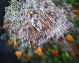 A picture of step 4 of Sprouted ragi masala khichdi.