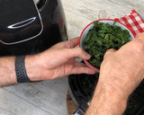 Foto del paso 5 de la receta: Chips de Kale sabor a queso con Airfryer, snack saludable