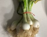 Foto del paso 1 de la receta: Cebollitas sazonadas