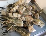 Une image de l'étape 1 de Gambas sauvages à la tomate, câpres et aneth.