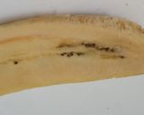 Foto del paso 8 de la receta: Lasaña de plátano maduro