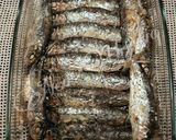 Foto del paso 6 de la receta: Sardinas asadas al horno, con romero y limón