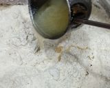 होली स्पेशल हरे चने की गुजिया(holi special green ग्राम gujiya recipe in Hindi) रेसिपी चरण 2 फोटो