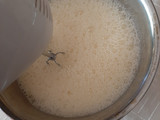 Leche Asada