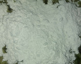 Foto del paso 6 de la receta: Lago del champiñón (Crema de champiñones)