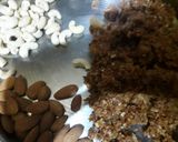 A picture of step 1 of Khajur ki burfi.