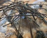 Foto del paso 5 de la receta: Caldo de Lubina con Tallarines