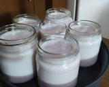 Foto del paso 5 de la receta: Yogurth mixto de leche vegetal de nuez y leche de vaca