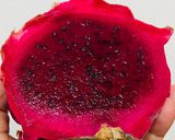 Foto langkah ke 1 dari resep 561. Puding Buah Naga Merah Putih.