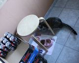 Foto del paso 6 de la receta: Empanadas de mónja y soque, y más con jalapeño y cebolla también