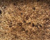 Φωτογραφία βήματος 5 της συνταγής Chocolate chip flapjacks