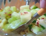 A picture of step 5 of Mask melon cucumber salad.
