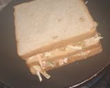 Shawarma sandwichmatakin girki8 hoto