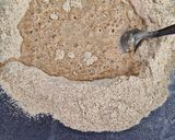 Foto del paso 1 de la receta: Pan harina integral con semillas de chía. Sin amasar