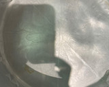 Foto del paso 3 de la receta: Karithopita - Pastel griego de nuez y aceite de oliva sin gluten y sin azúcar