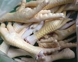 Foto langkah ke 4 dari resep Sop singkong ceker.