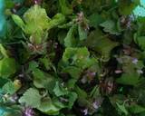 Wild Mustard garlic leaf and red dead nettle & wild onion dolmas recipe step 2 photo
