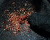 Foto langkah ke 2 dari resep Tumis Toge Telur.