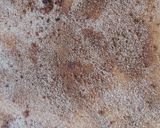 Fahéjas csigabiga🐌🐌🐌 recept fázis 4 fotója