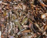 A picture of step 5 of Ladyfinger sabzi.