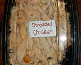 Mike's Spicy Green Chile Chicken Stew recipe step 3 photo
