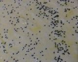 صورة لخطوة 3 من وصفة خبز الدار بالسميد 😋😋