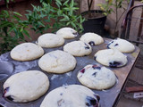 Muffins deliciosos con arándanos 😍