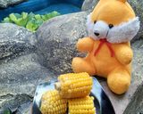 Foto langkah ke 4 dari resep Kukus Jagung Manis Imitasi.