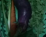 Foto langkah ke 1 dari resep Telur gulung kelor.