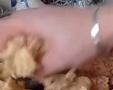 صورة لخطوة 3 من وصفة غريبة الحمص