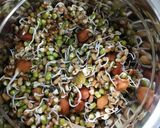 A picture of step 1 of Mixed sprouts uttapam.