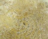 A picture of step 4 of Chakli or murku.