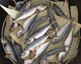Foto langkah ke 2 dari resep Ikan Cue / Ikan Keranjang / Ikan Pindang Homemade.
