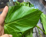 Hình bước làm 1 của món Lá ngón xào trứng (loai lá ngón ăn được nhé)