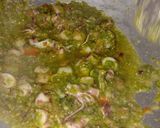 Foto langkah ke 3 dari resep Sambal cumi cabe hijau.