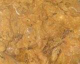 A picture of step 3 of Mintango chutney chicken biryani.