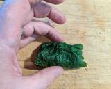 Wild Mustard garlic leaf and red dead nettle & wild onion dolmas recipe step 7 photo