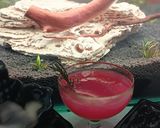 A picture of step 4 of Smoked Rosemary Grapefruit/Pomegranate/Orange/Lemon Mocktail.