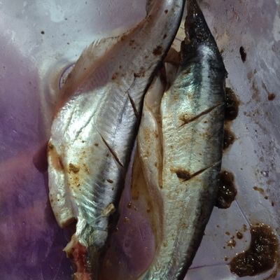 Langkah 2