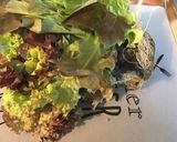 Une image de l'étape 1 de Salade de crânes d'oiseaux aux carottes râpées, burrata di buffala et basilic frais.