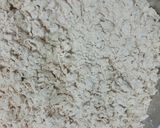 A picture of step 1 of Raddish crispy and layered paratha.